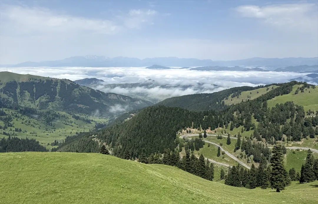 Artvin Şavşat'ta yüksek kesimlerde sis etkili oldu