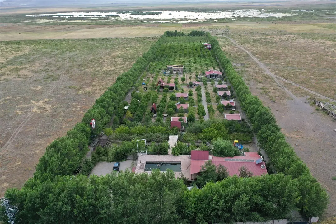 Kaymakam Ayvat: Ağrı Dağı eteklerinde meyve hasadı başarı