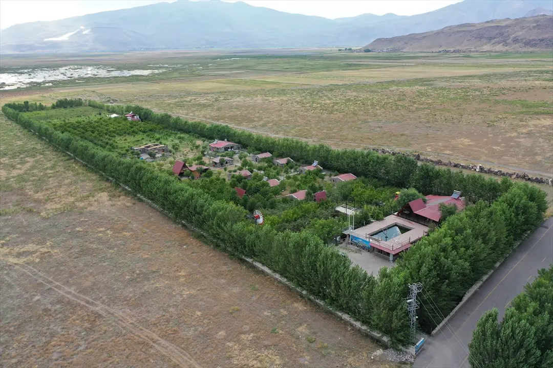 Kaymakam Ayvat: Ağrı Dağı eteklerinde meyve hasadı başarı