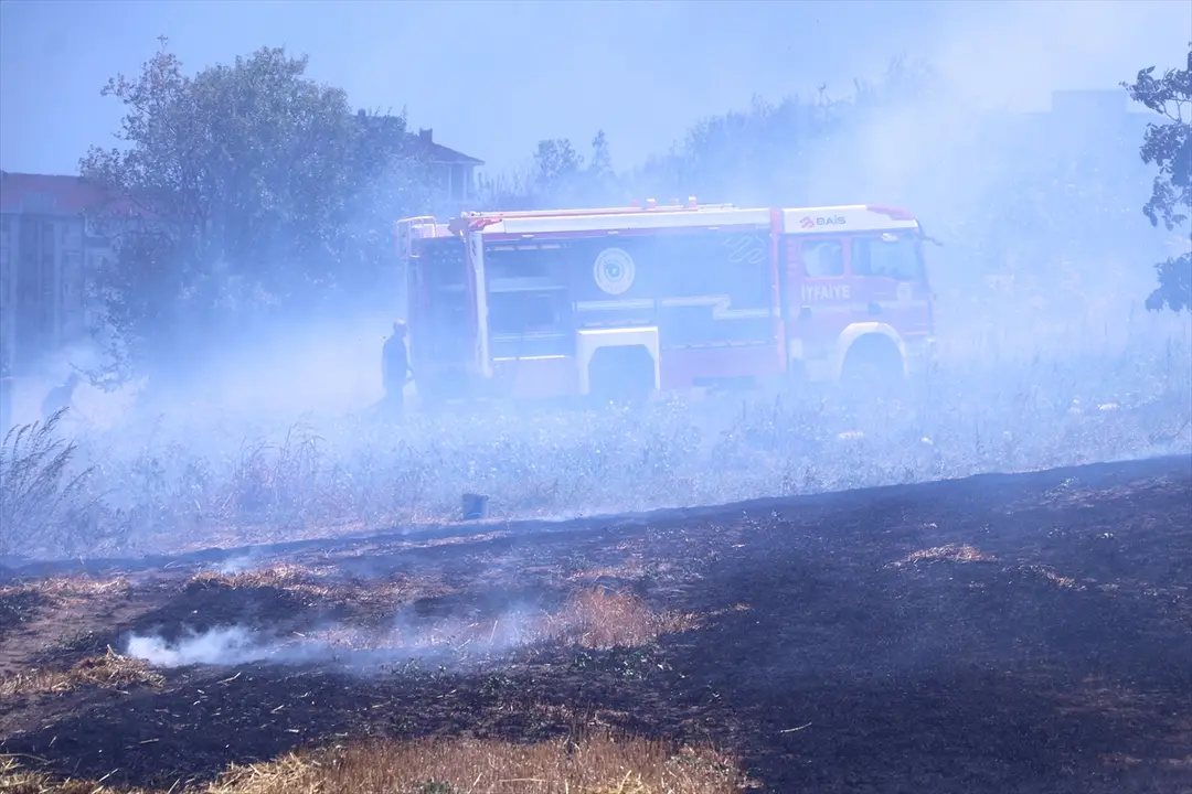 Tekirdağ'da çıkan anız yangınında 100 dekar tarım arazisi zarar gördü