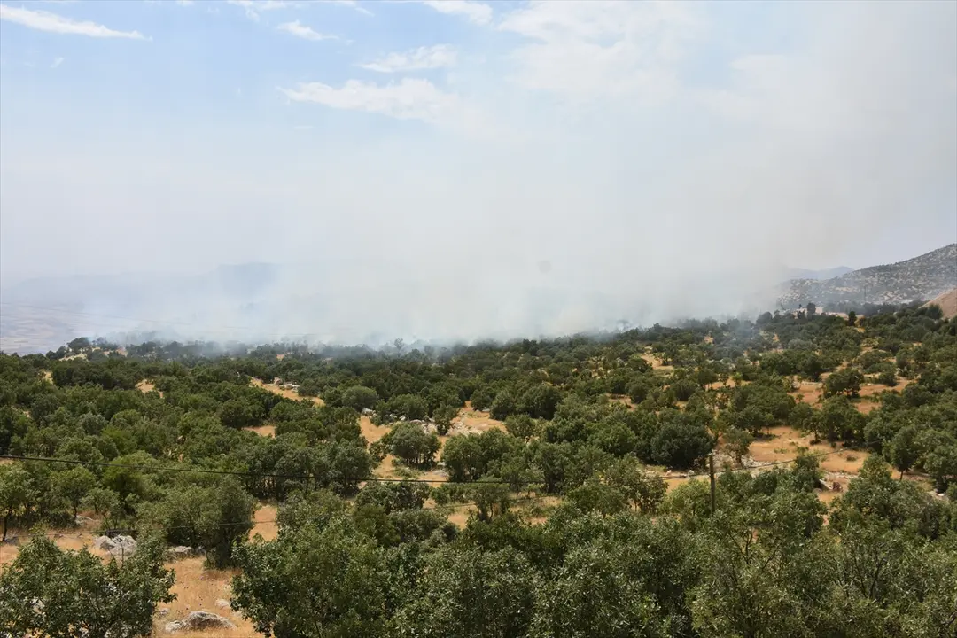 Şırnak'ta orman yangını: Ekipler müdahaleyi sürdürüyor
