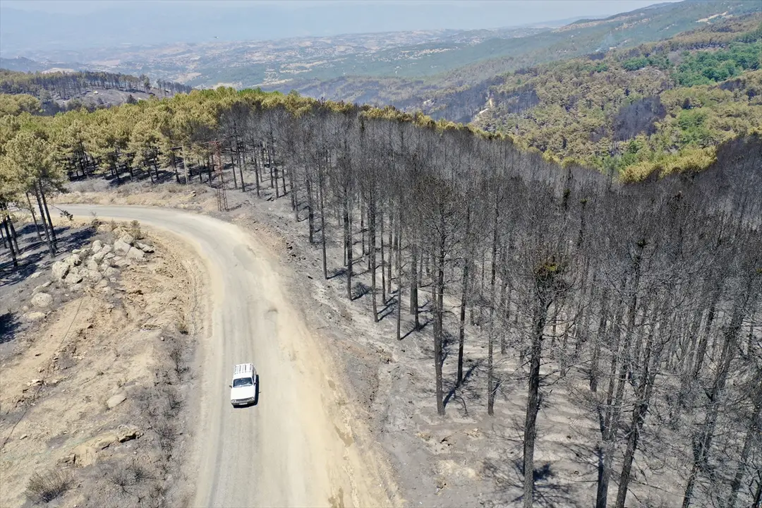 Aydın Çine'deki orman yangını havadan görüntülendi: Hasar boyutu