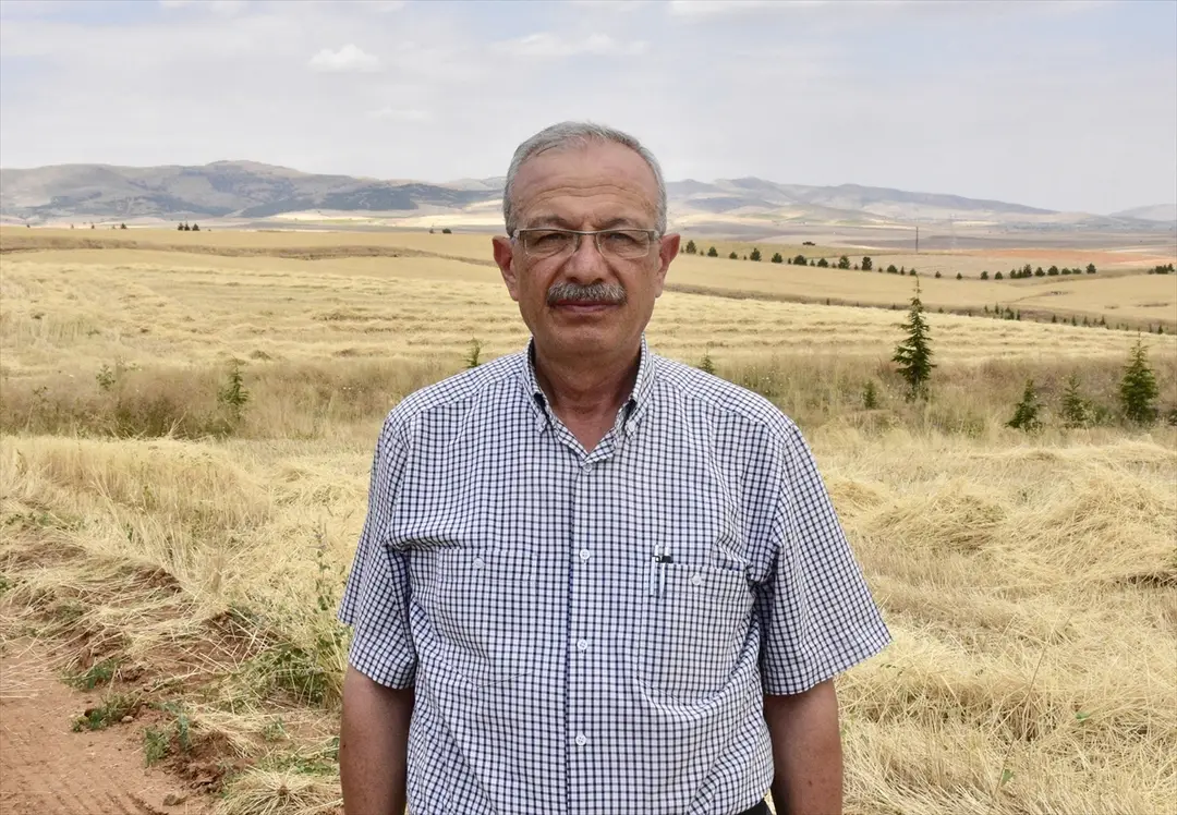 Kırşehir'de doğru tohum ve yağışla buğday verimi %100 arttı