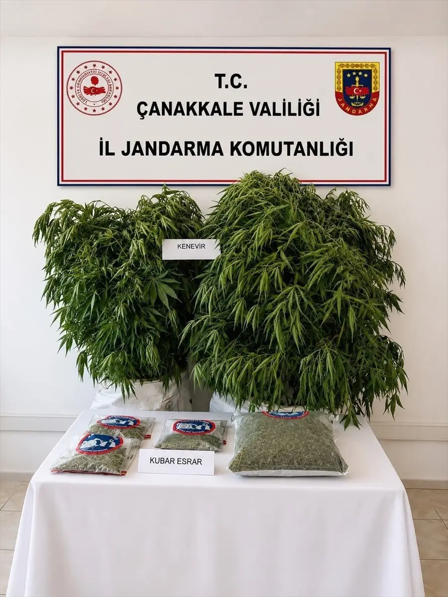Çanakkale'de uyuşturucu operasyonu: 14 zanlıdan 5'i tutuklandı
