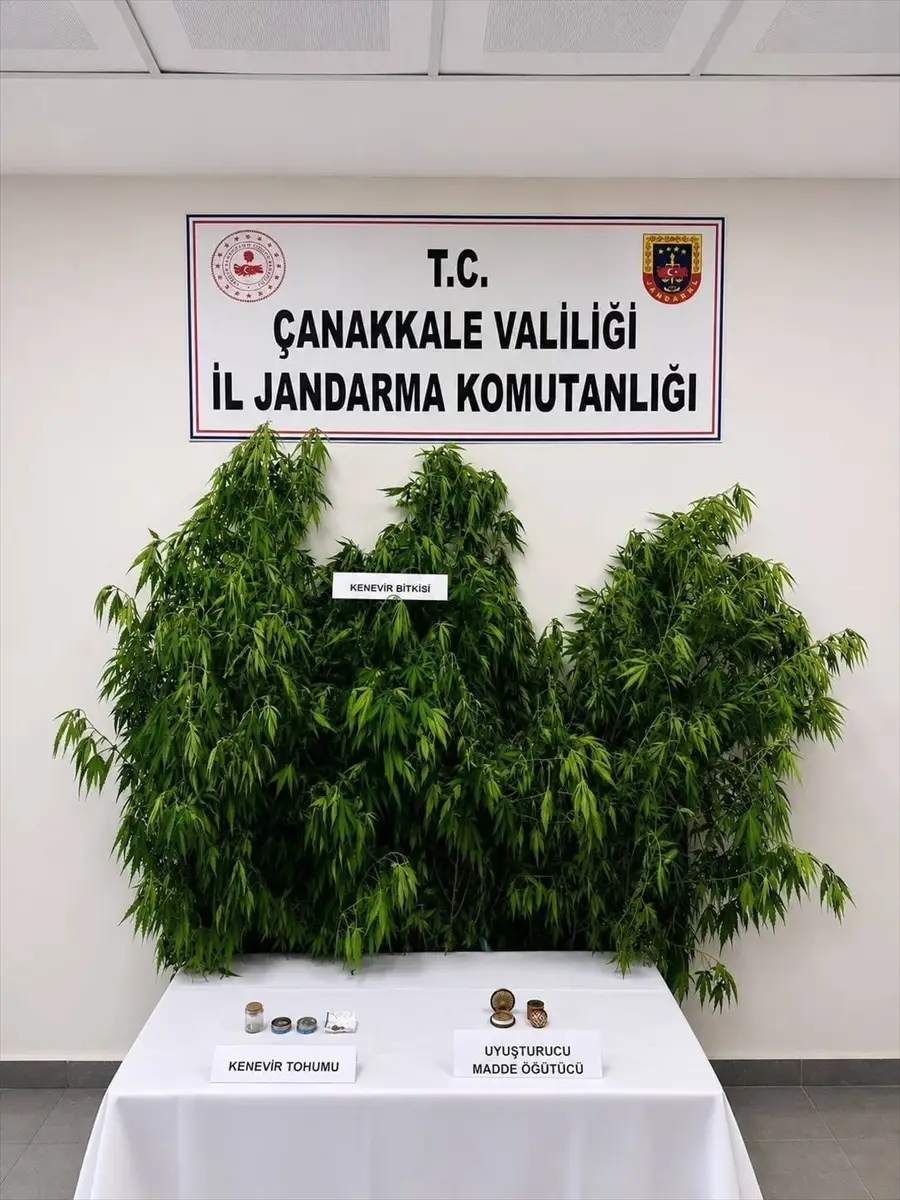 Çanakkale'de uyuşturucu operasyonu: 14 zanlıdan 5'i tutuklandı