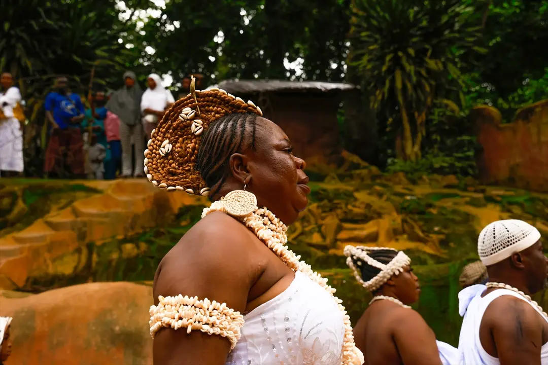 Nijerya'da Osun-Osogbo Festivali: Kültürel Miras Kutlandı