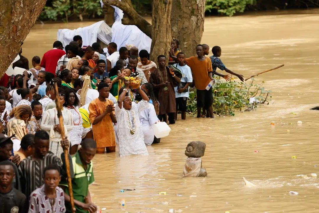Nijerya'da Osun-Osogbo Festivali: Kültürel Miras Kutlandı