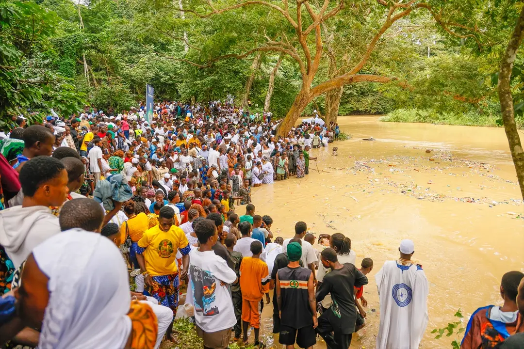 Nijerya'da Osun-Osogbo Festivali: Kültürel Miras Kutlandı