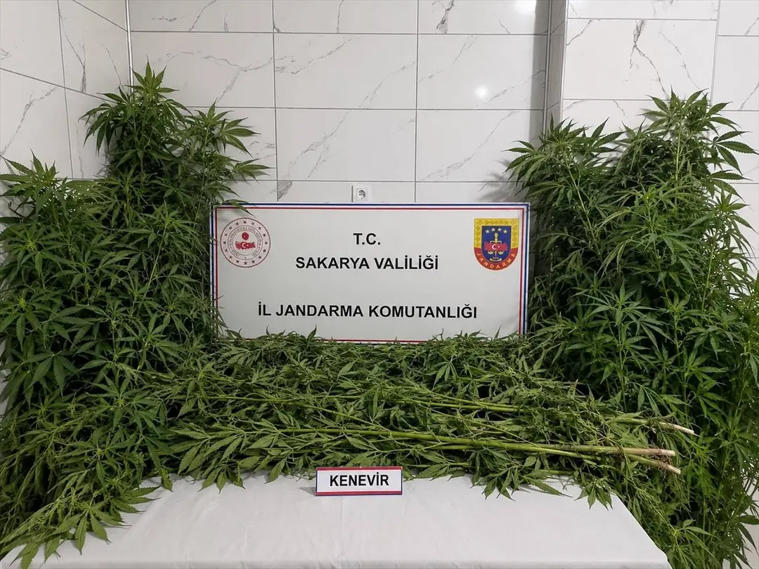Sakarya'da uyuşturucu operasyonları: 3 zanlı tutuklandı