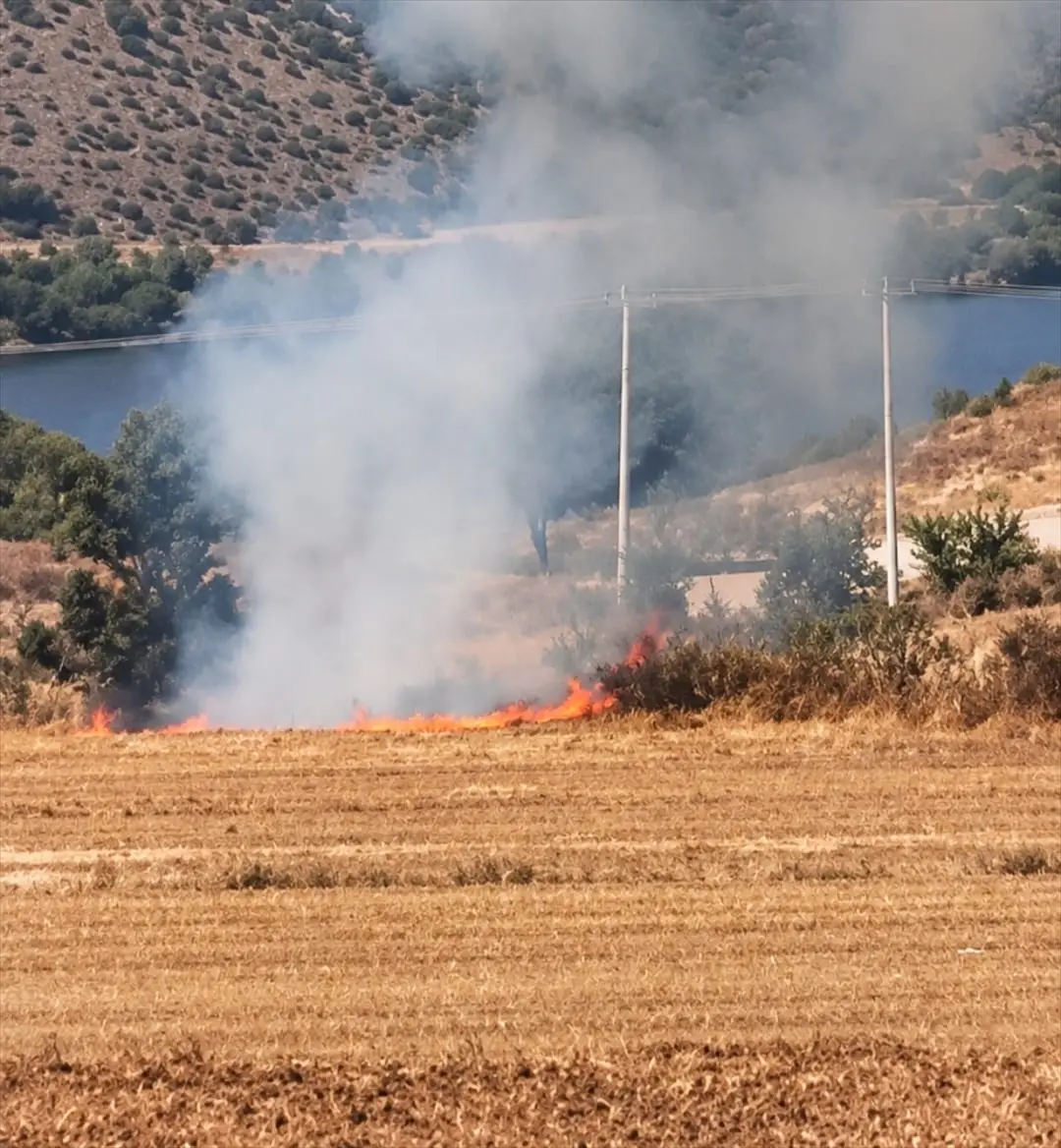Bursa'daki arazi yangını şüphelisi K.Y. gözaltında