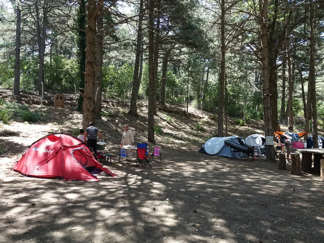 Kazdağları Aile Kampı: Edremit'te doğa ve dostluk bir arada