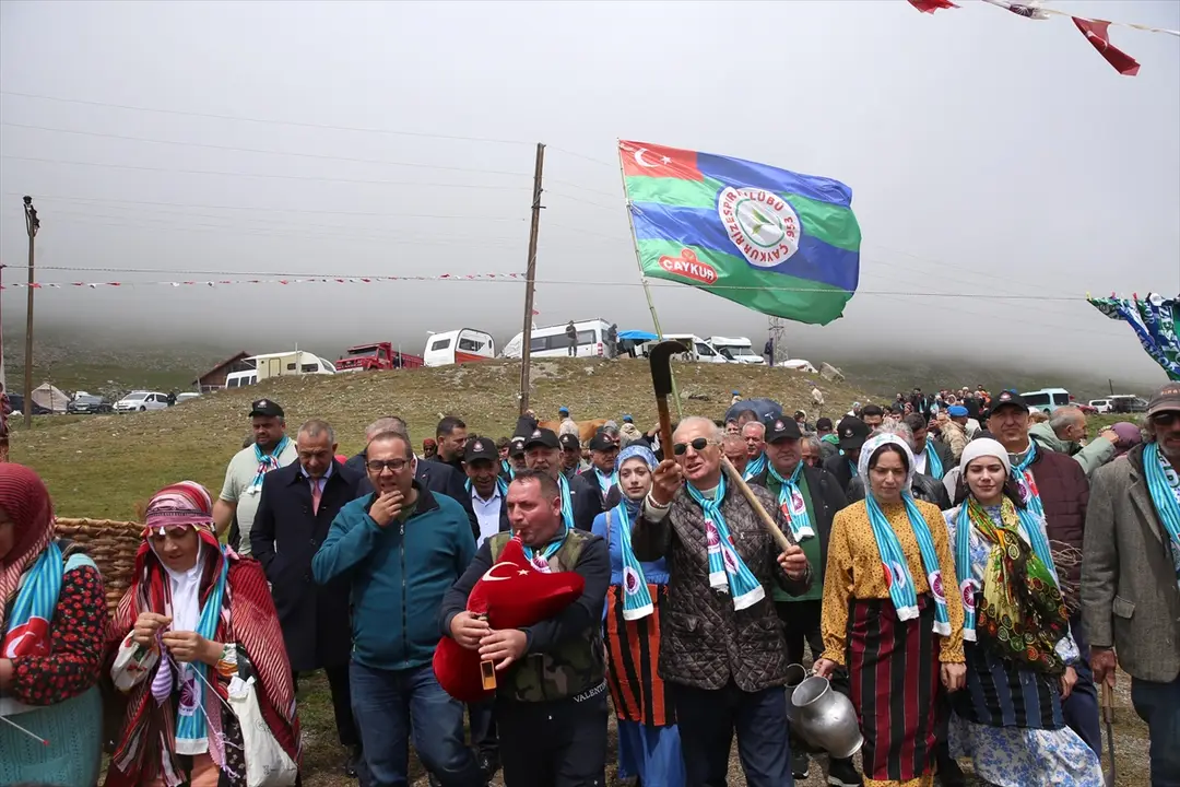 Rize Ovit Yayla Şenliği 26. kez düzenlendi: İnek yarışması yapıldı