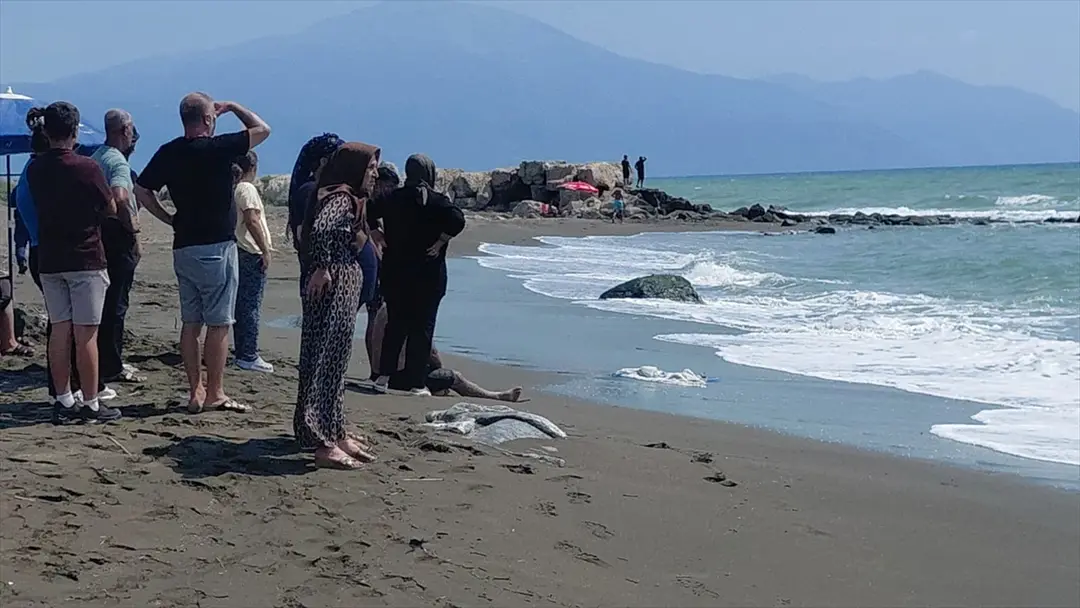 Hatay'da denize giren çocuk boğuldu