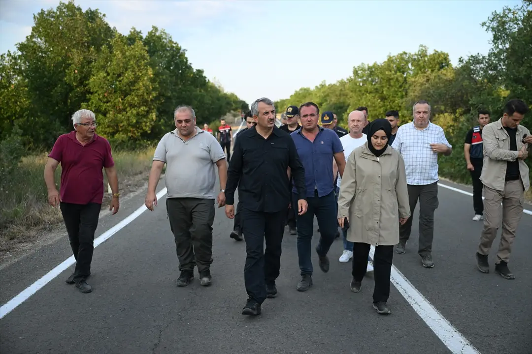 Edirne Valisi Sezer: Meriç yangını kontrol altında