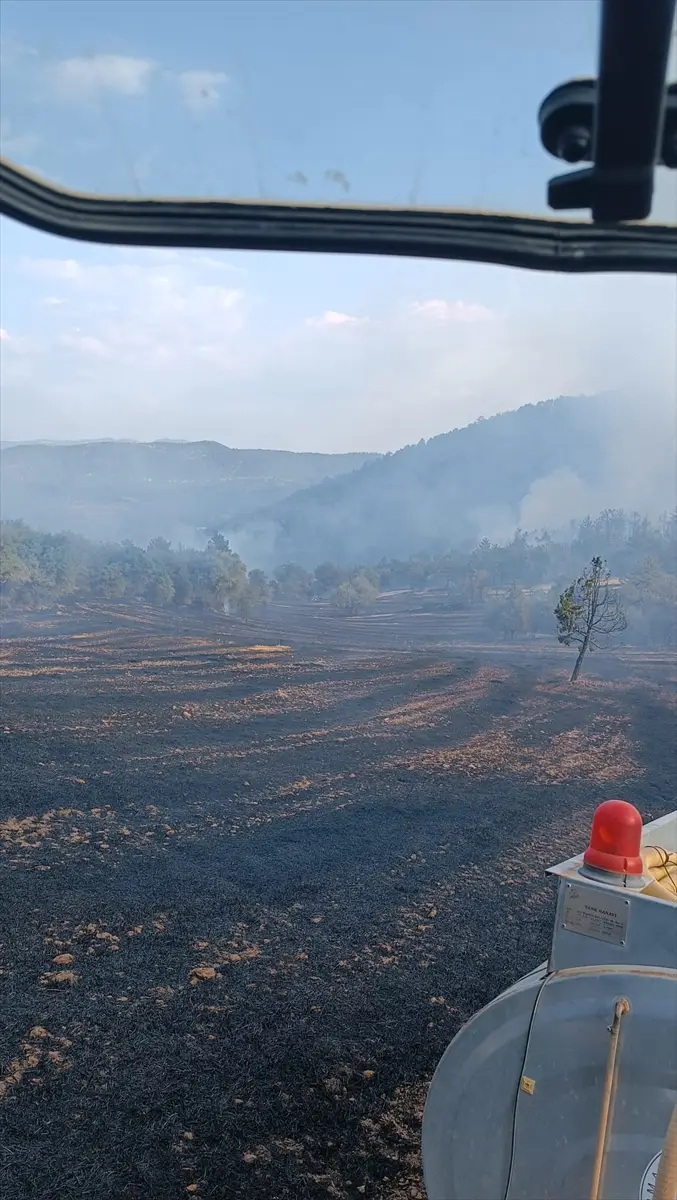 Bolu Göynük'teki orman yangını kontrol altına alındı
