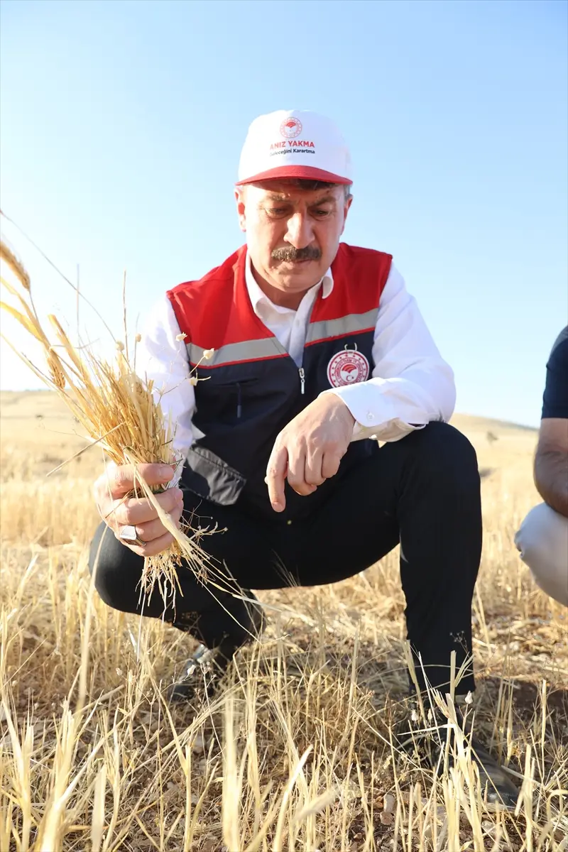 Güneydoğu'da anız yangınlarıyla mücadele sonuç veriyor