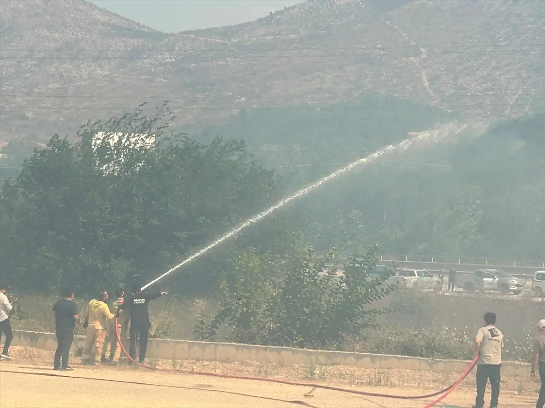 GÜNCELLEME 2 - Bilecik'te çıkan orman yangını kontrol altına alındı