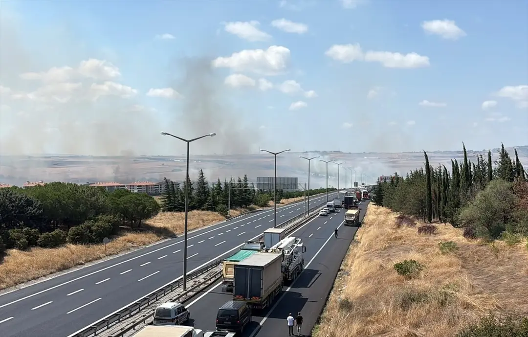 GÜNCELLEME - Silivri'de otluk ve ağaçlık alanda çıkan yangın söndürüldü