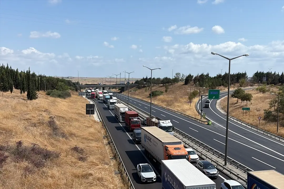 GÜNCELLEME - Silivri'de otluk ve ağaçlık alanda çıkan yangın söndürüldü