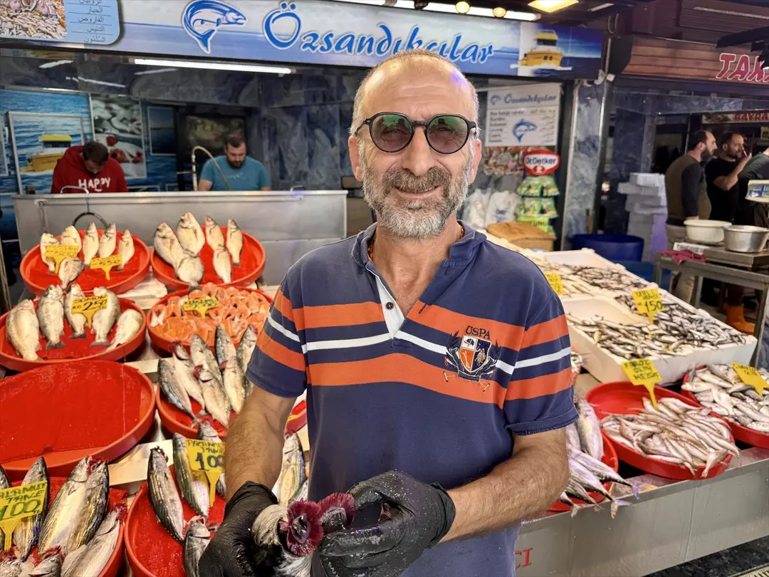 Trabzon balıkçıları: Palamut 100-125 liradan satılıyor