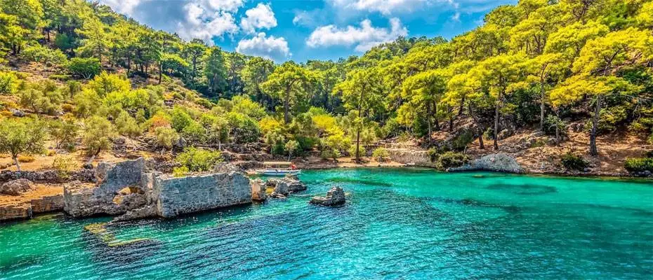 Coral Travel: Interest in cultural tours rapidly increasing, demand up 40%
