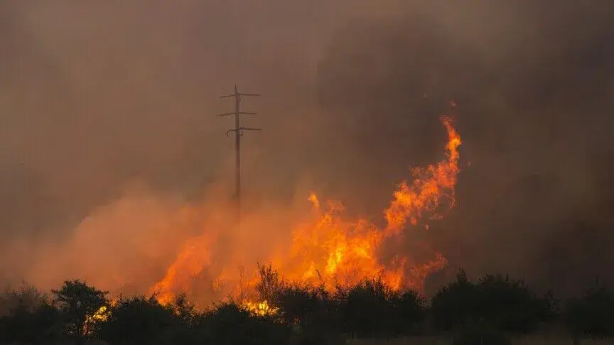 Forest Fires in Bulgaria and Bosnia and Herzegovina