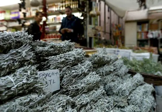 Mevsim hastalıklarından korunmak için bitki çayı tarifi