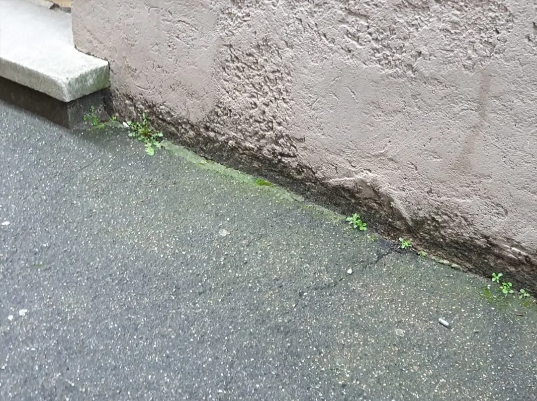 DİTİB Genel Sekreteri Atasoy'un Almanya'daki evinin önünde mermi kovanları bulundu
