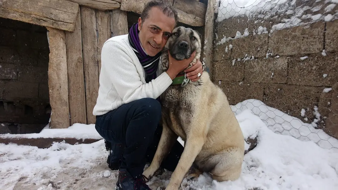 Kangal Suç İşlemişse; Bunun Nedeni Yine insandır