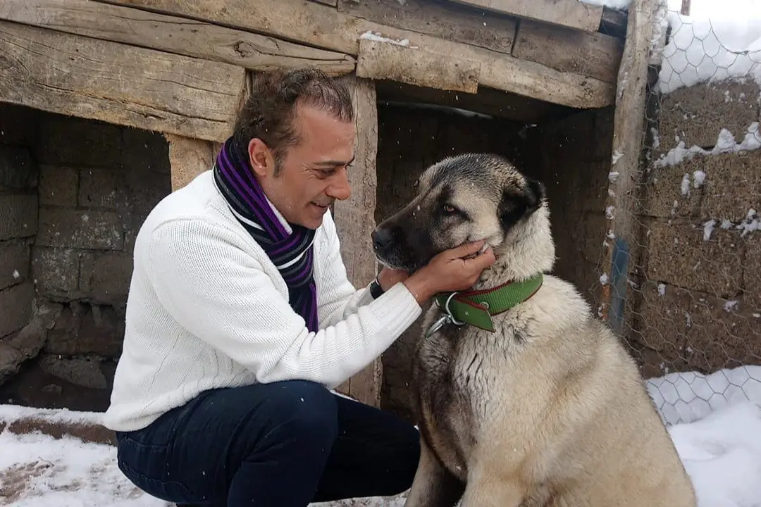 Kangal Suç İşlemişse; Bunun Nedeni Yine insandır