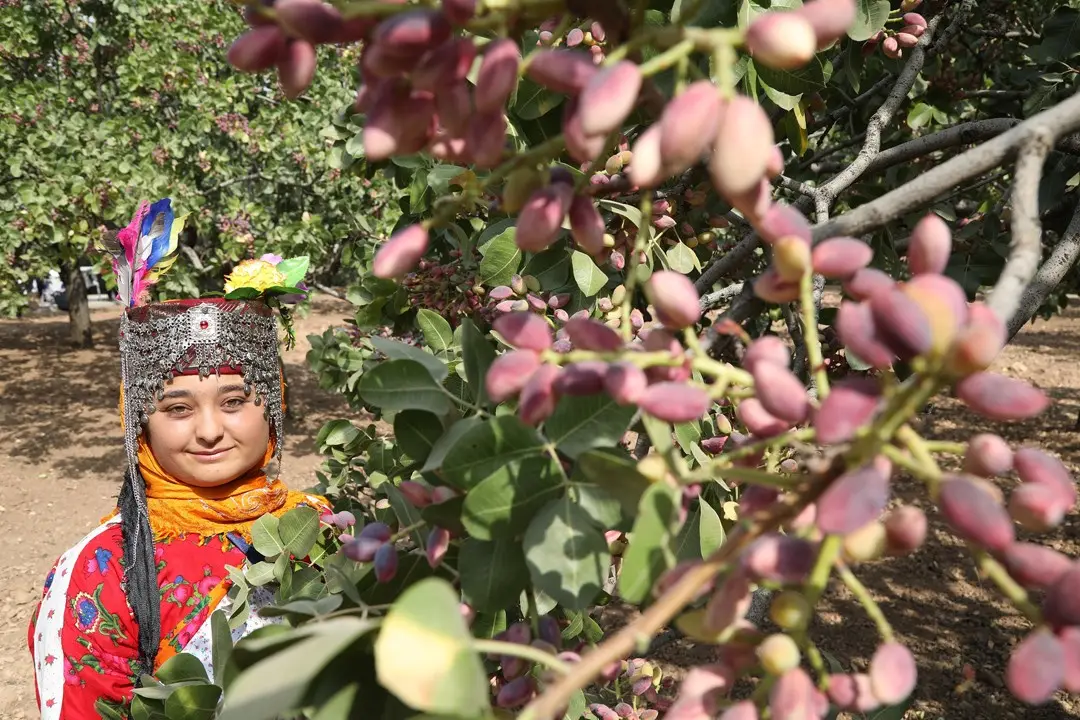 TÜRKİYE’NİN EN BÜYÜK DİJİTAL GASTRONOMİ FESTİVALİ YAPILDI