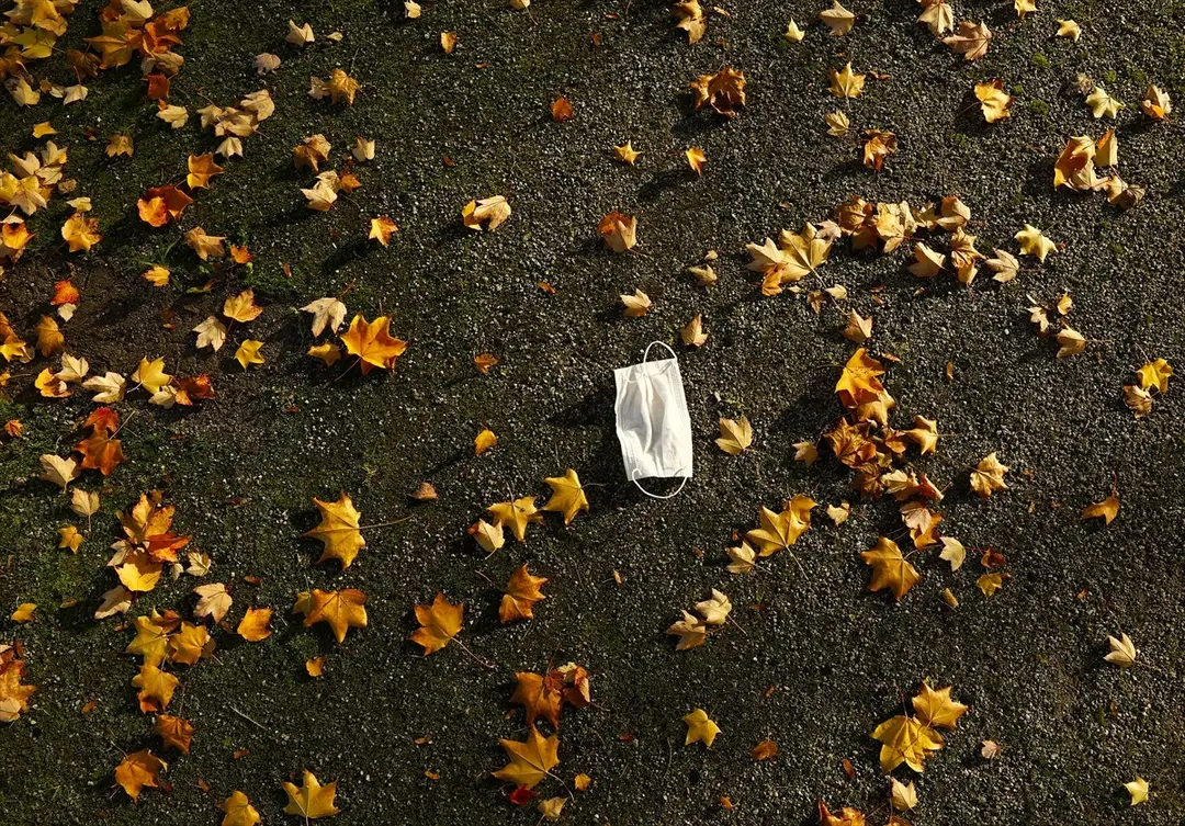 Berlin güz renkleriyle büyülüyor