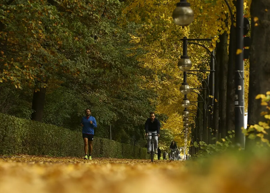 Berlin güz renkleriyle büyülüyor