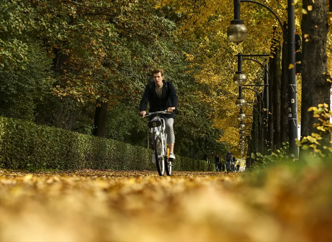Berlin güz renkleriyle büyülüyor