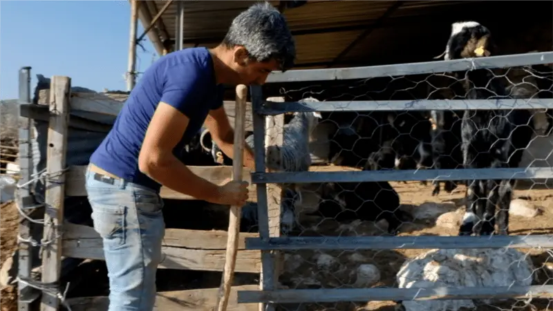 "Bir Aileyi Bir Yıl Geçindirebilecek Proje”