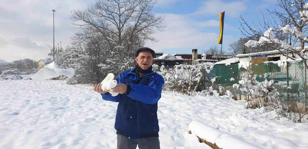 45 yıldır güvercin besliyor