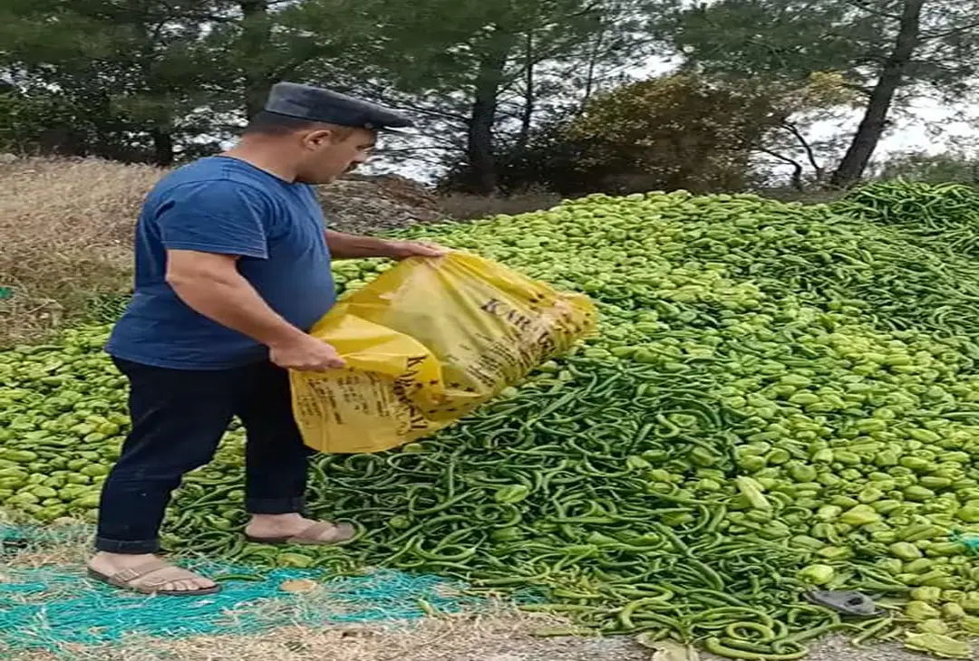 Tam kapanmada semt pazarları açılmadı çiftçi isyan ediyor