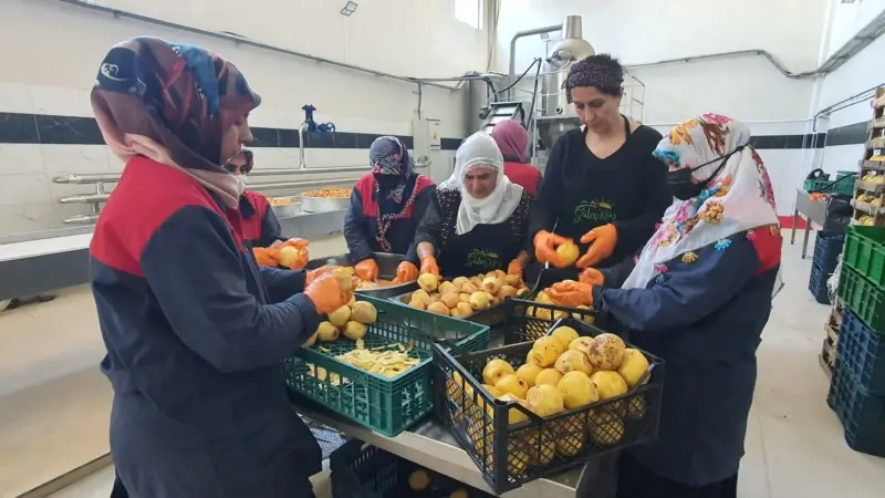 Diyarbakırlı Kadınlar Kendi 'Köy'ünü Kurdu