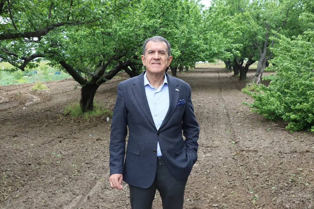 Avrupa'nın Türk kuru üzümü talebi sürüyor