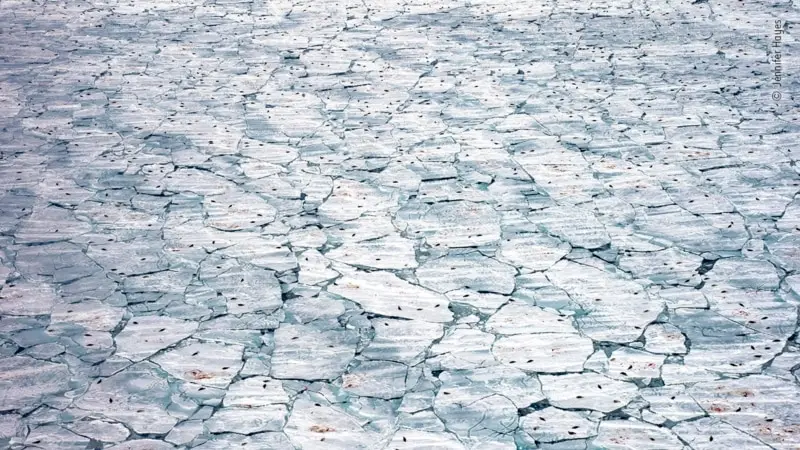 Gençler İklim Değişikliğinden Endişeli