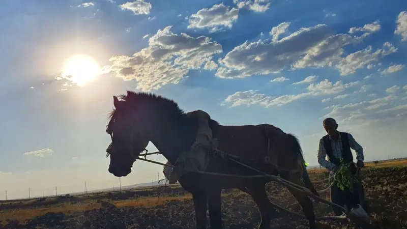Karasaban Yıllar Sonra Geri Döndü
