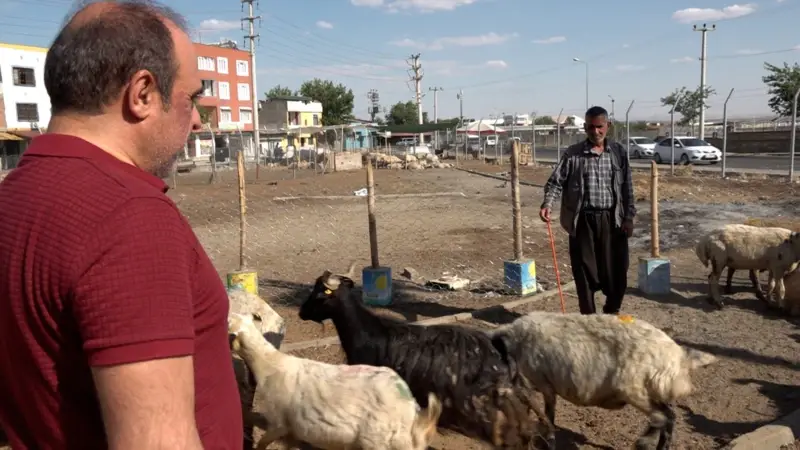 Kurban Kesme Geleneğine Ekonomi Engeli