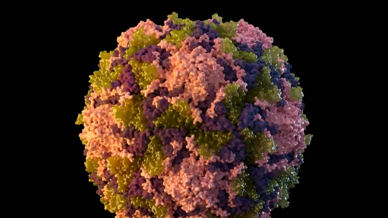 New York'un Atık Sularında Polio Tespit Edildi