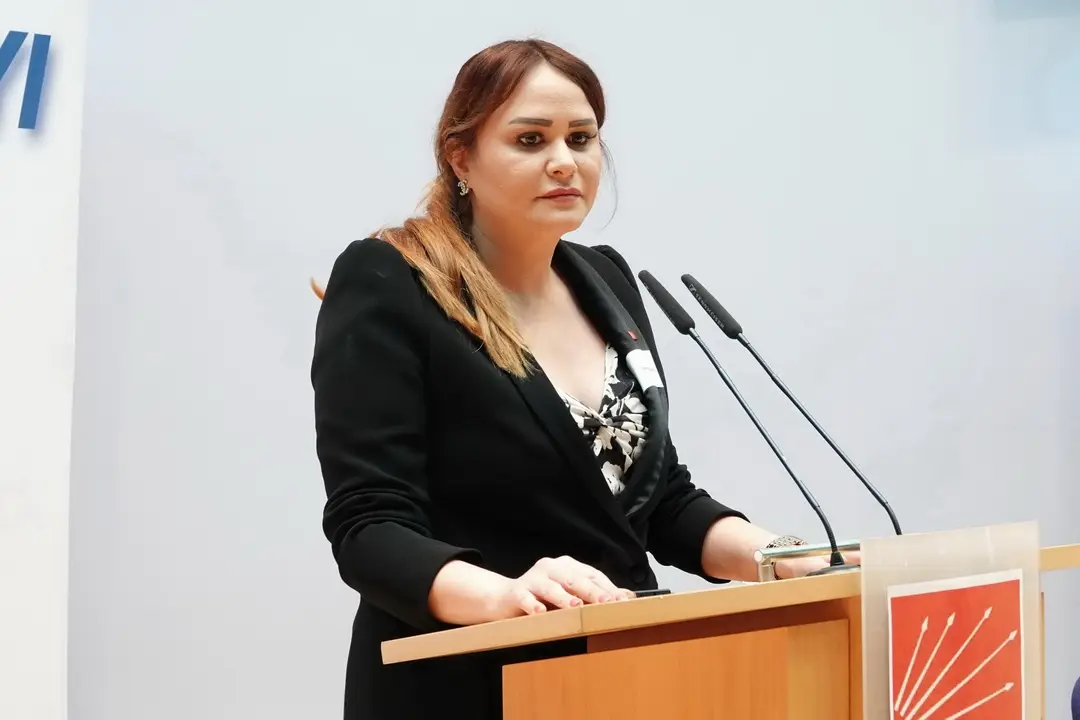 CHP Berlin ‘Yurt Dışı Türkler Çalıştayı’ düzenledi