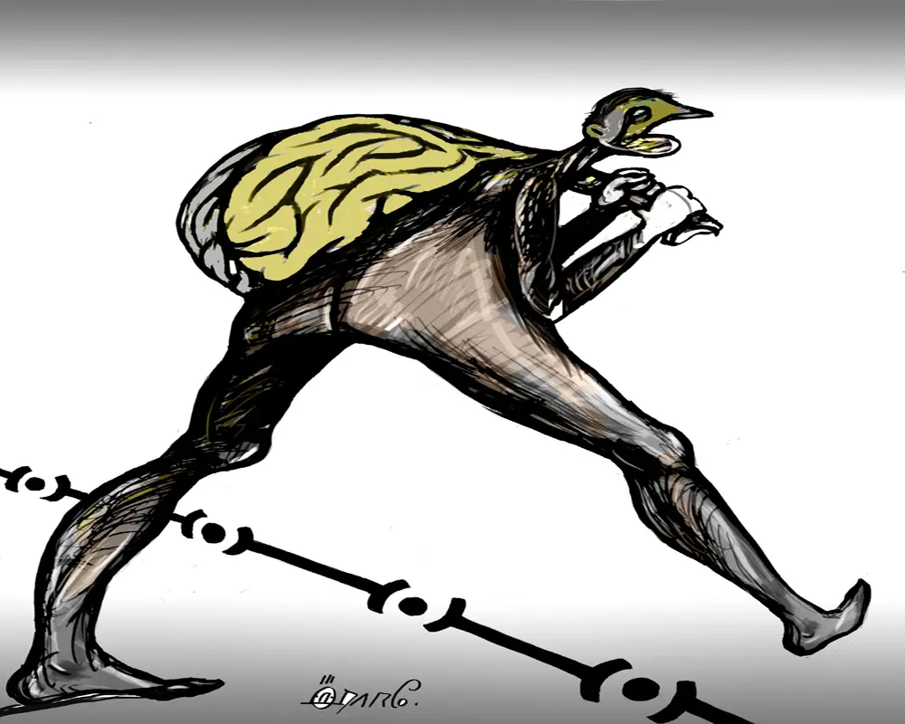 13. Uluslararası Don Quichotte Karikatür Yarışması Sonuçlandı