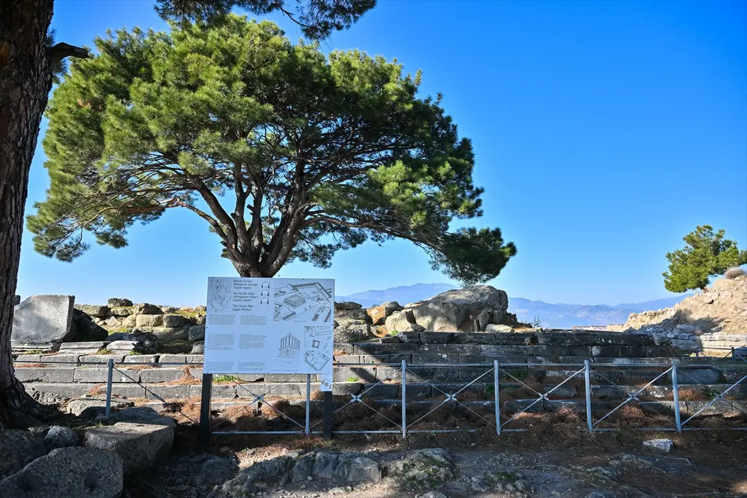 Alman müsteşarın Bergama Sunağı çağrısı için "vicdanın sesi" yorumu