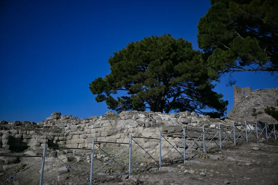 Alman müsteşarın Bergama Sunağı çağrısı için "vicdanın sesi" yorumu