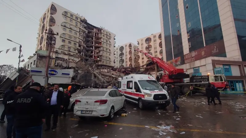 Diyarbakırlılar Evcil Hayvanların Kurtarılmasını İstiyor