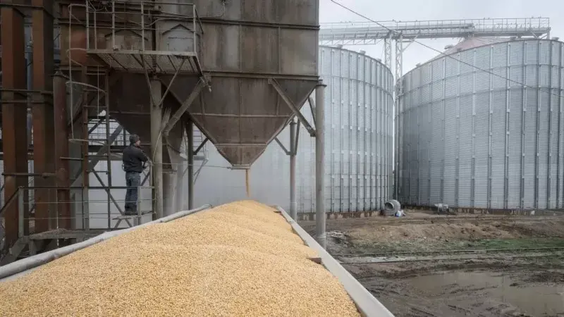 Hububata Yüzde 130 Gümrük Vergisi Geliyor