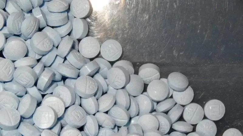 "Türkiye'den Gönderilen Kimyasallar Fentanil Değil"